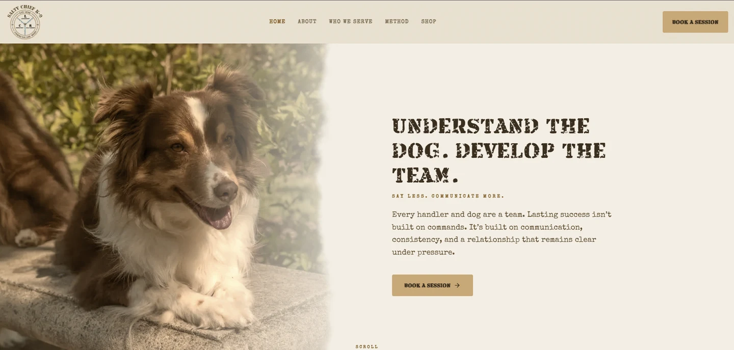 The Salty Chief K-9 website NorthStar designed and built, live on its homepage
